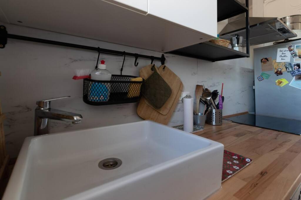 Cabana & Grand Appartement Cosy - Parking & Balcon Villefranche-sur-Saône Exteriér fotografie